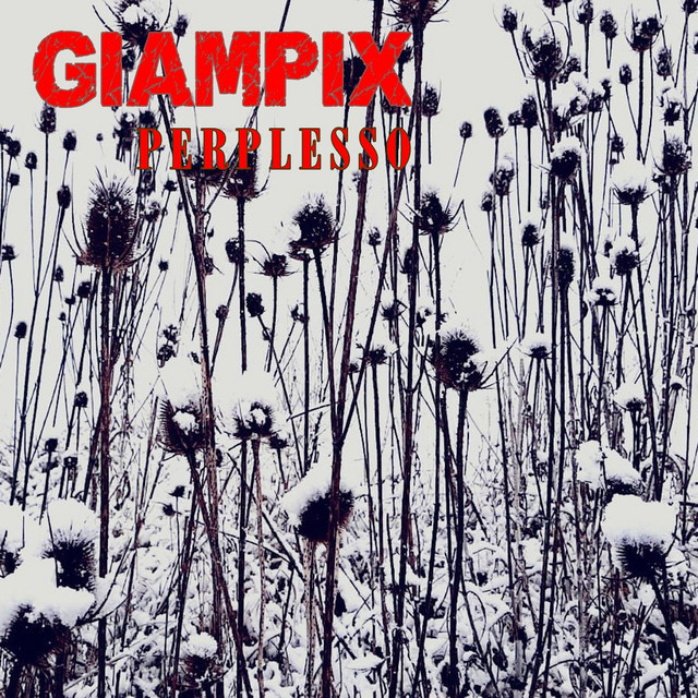 Perplesso cover art