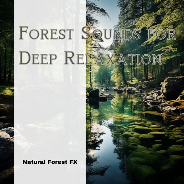 Forest Sounds for Deep Relaxation - Album by Natural Forest FX | Spotify