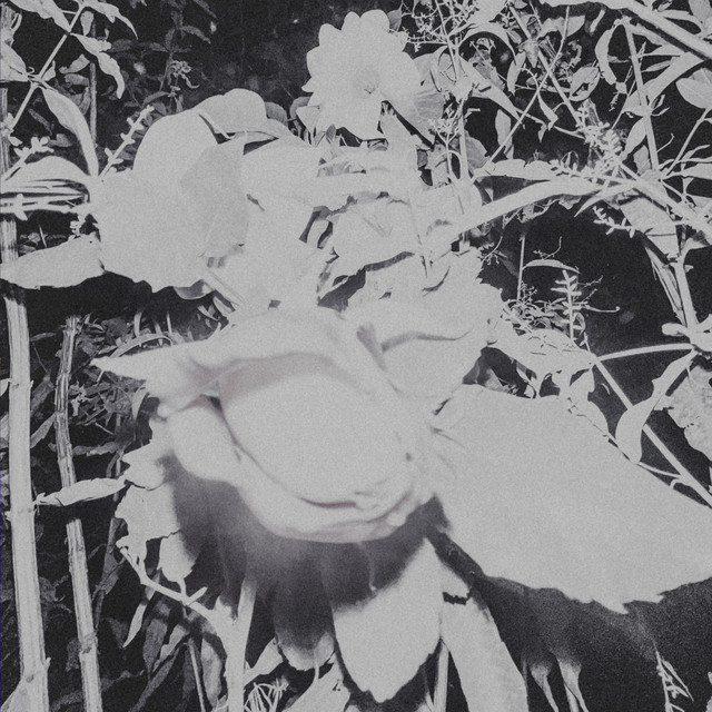 Modelo Para Armar cover art