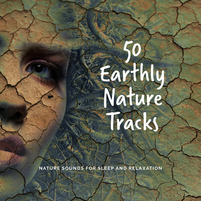 50 Earthly Nature Tracks - Album by Nature Sounds for Sleep and ...