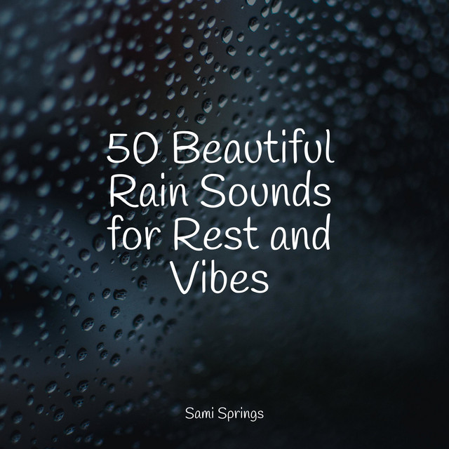 50 Beautiful Rain Sounds for Rest and Vibes - Album by Sleep Sound of ...
