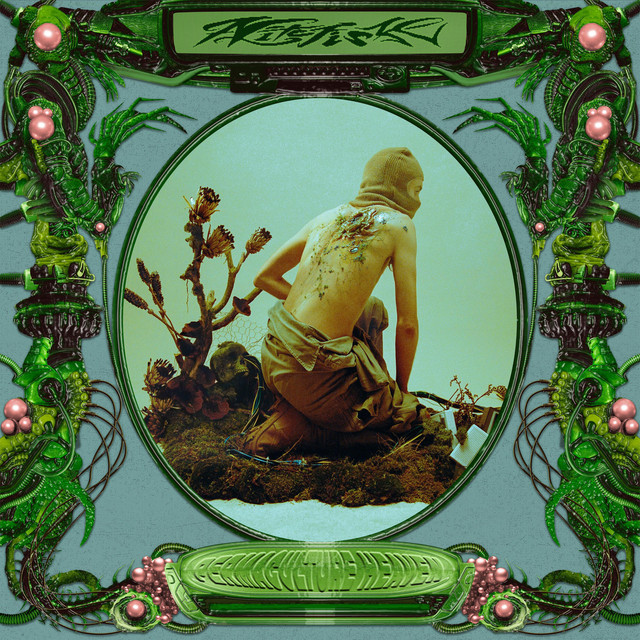 Permaculture Heaven - Album by N I T E F I S H | Spotify