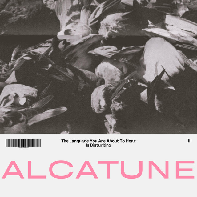 The Language You Are About To Hear Is Disturbing (single)