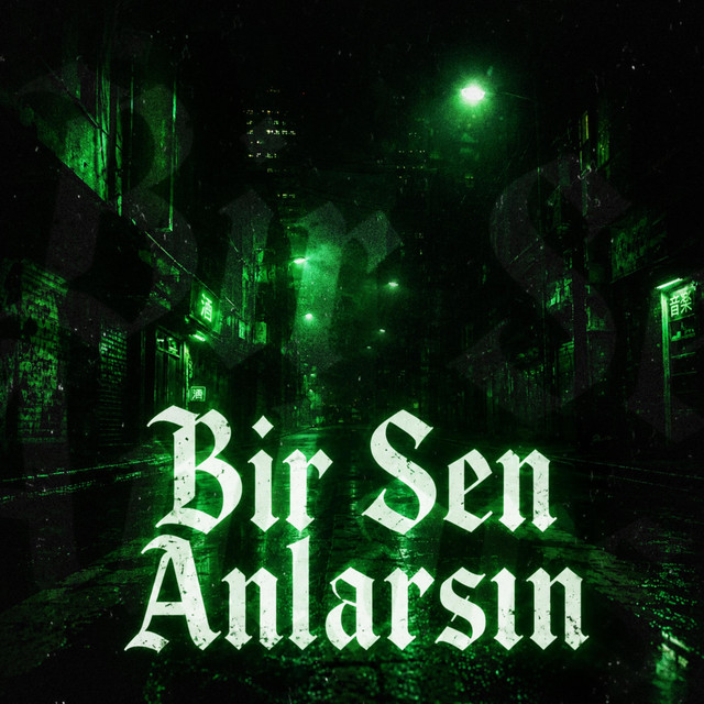 BİR SEN ANLARSIN