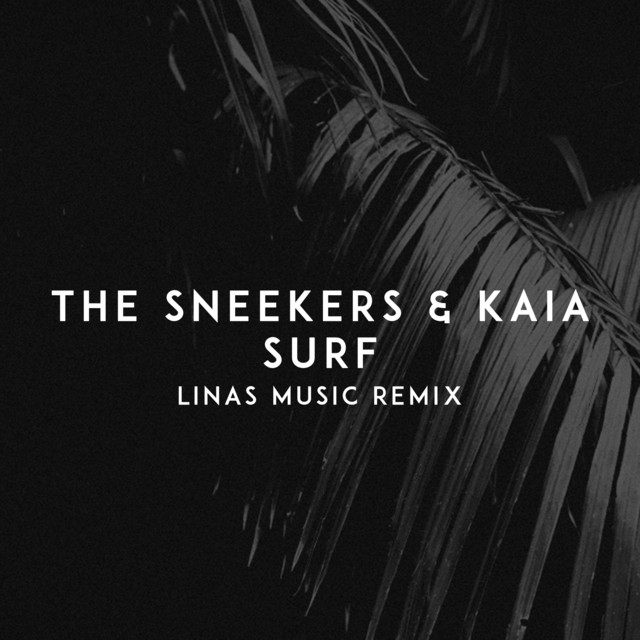 Surf - Linas Music Remix