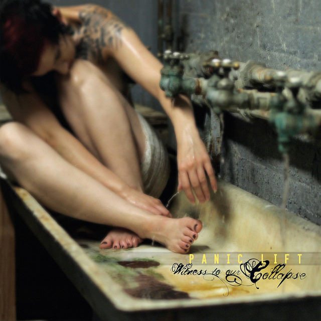 Witness to Our Collapse cover art