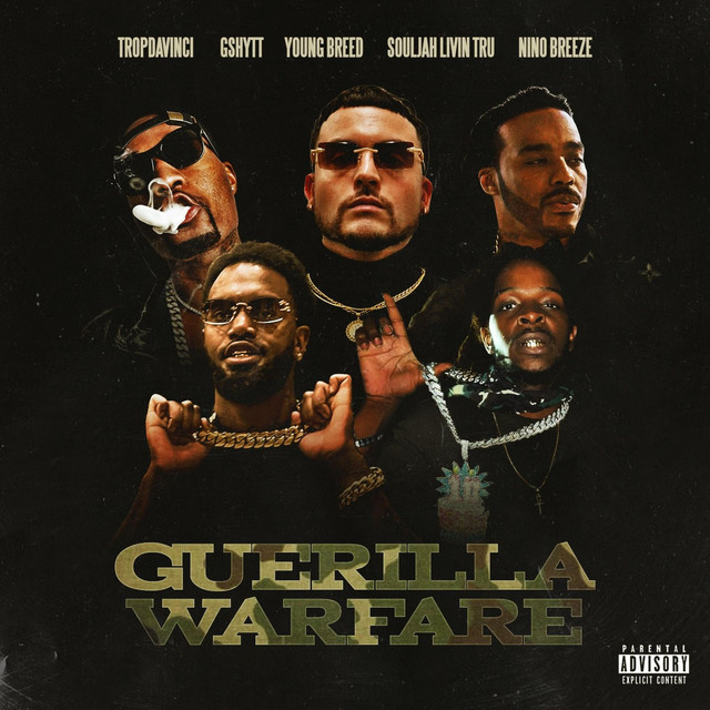 Guerilla Warfare