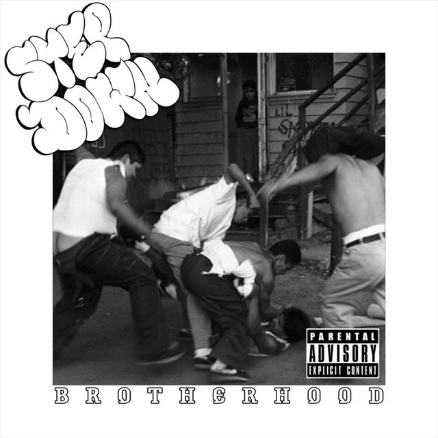 Cover art: Brotherhood — STEP DOWN
