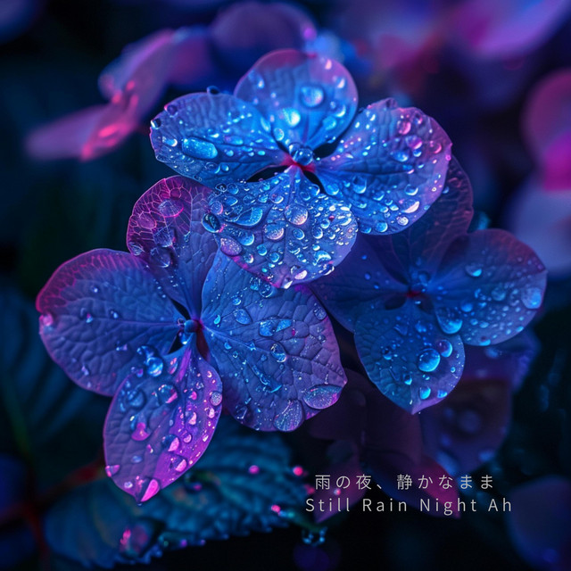 紫陽花の色、途中のまま – In Between Hydrangea Color Ah - song and