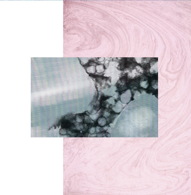Archivi 1999/2021 cover art