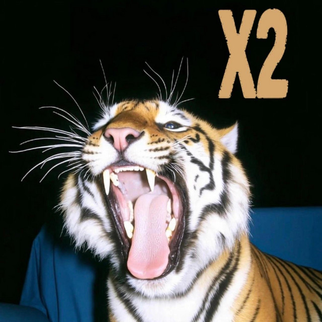 X2 cover art