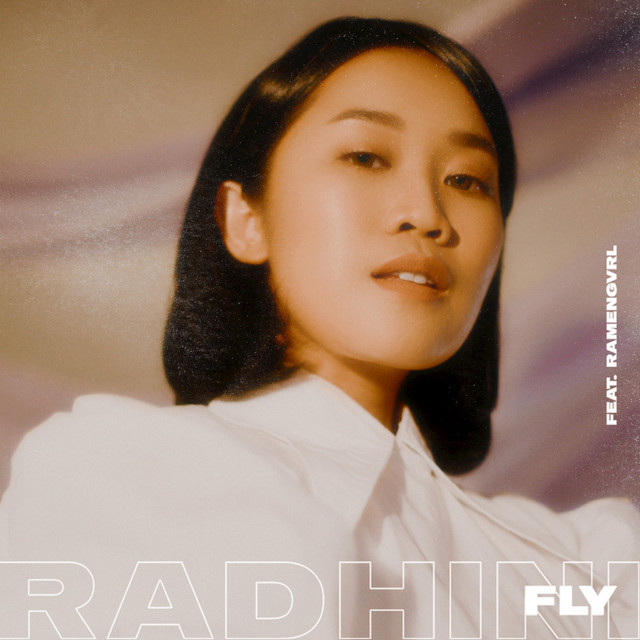 Fly cover art