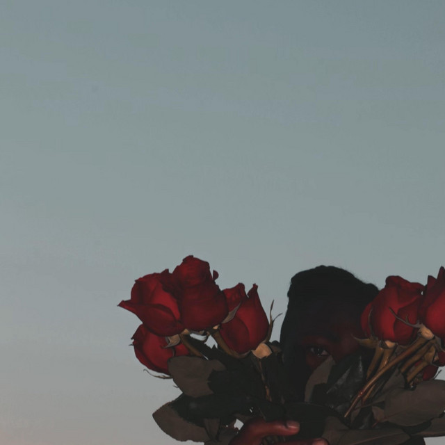 Burning Roses cover art