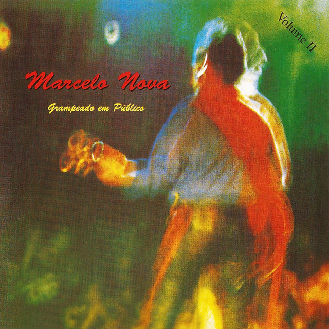 Grampeado em Público, Vol. 2 cover art
