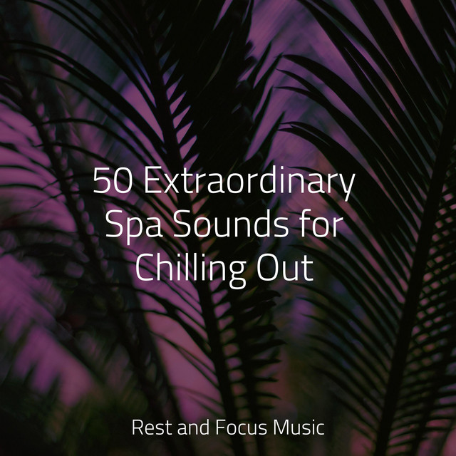 50 Extraordinary Spa Sounds for Chilling Out - Album by Massage Music ...