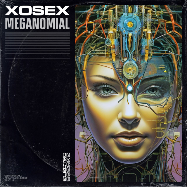 Meganomial album art