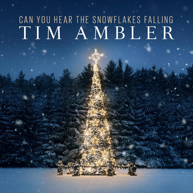 Can You Hear The Snowflakes Falling - Single by Tim Ambler | Spotify