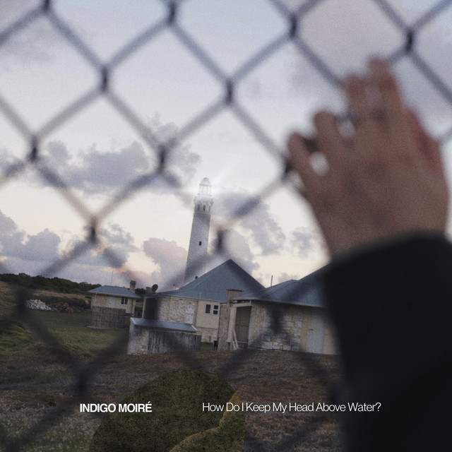 How Do I Keep My Head Above Water? cover art