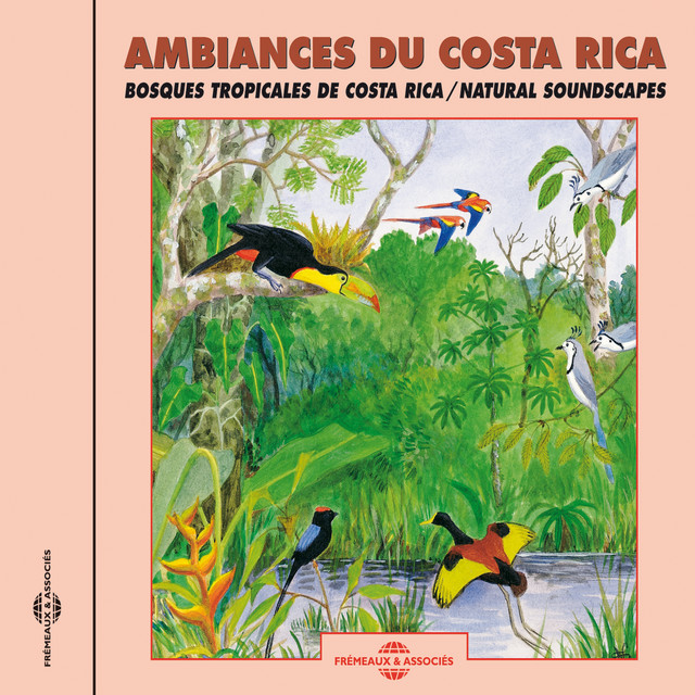 Ambiances Du Costa-Rica