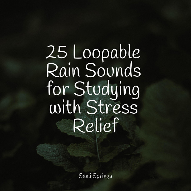 25 Loopable Rain Sounds for Studying with Stress Relief - Album by ...
