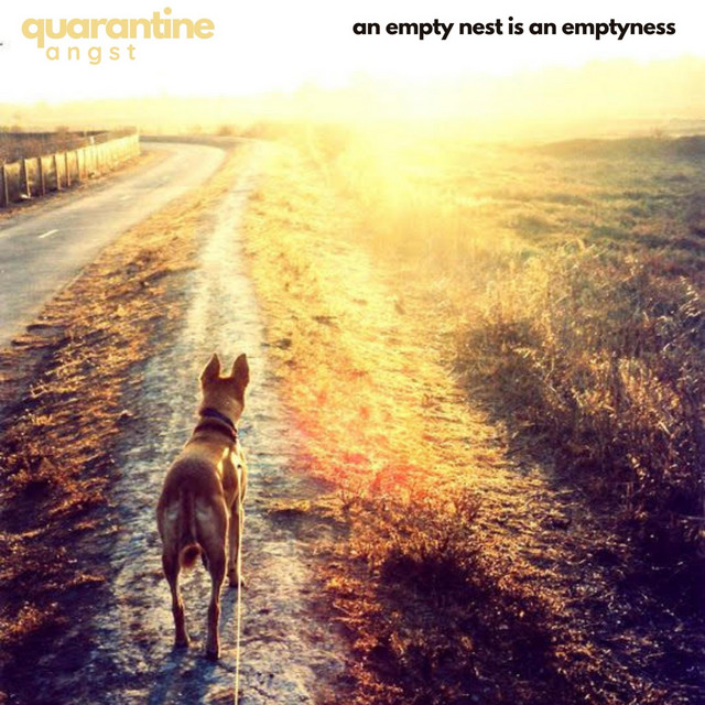 An Empty Nest is an Emptyness (single)