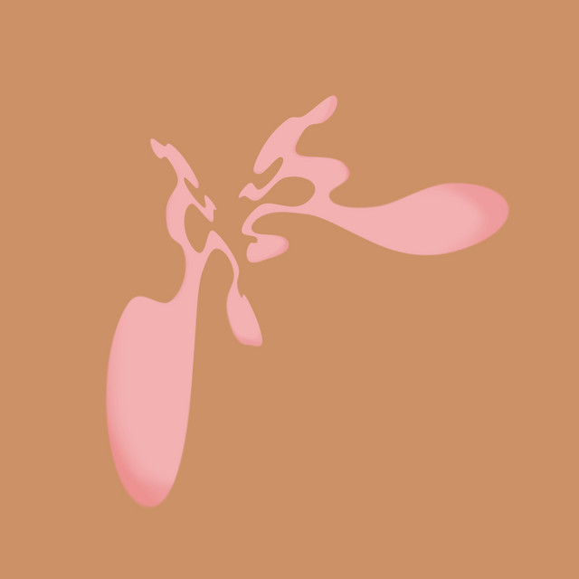 palette cover art