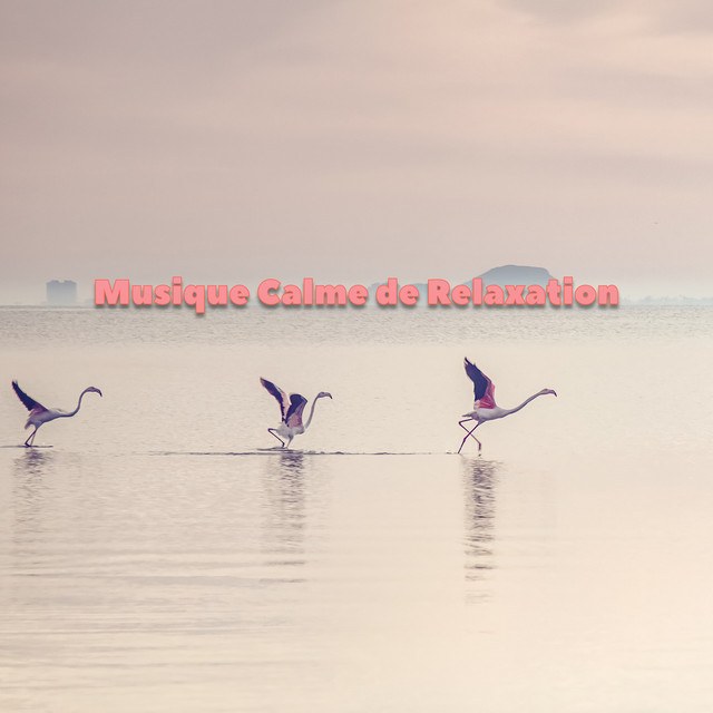 Musique calme de relaxation cover art