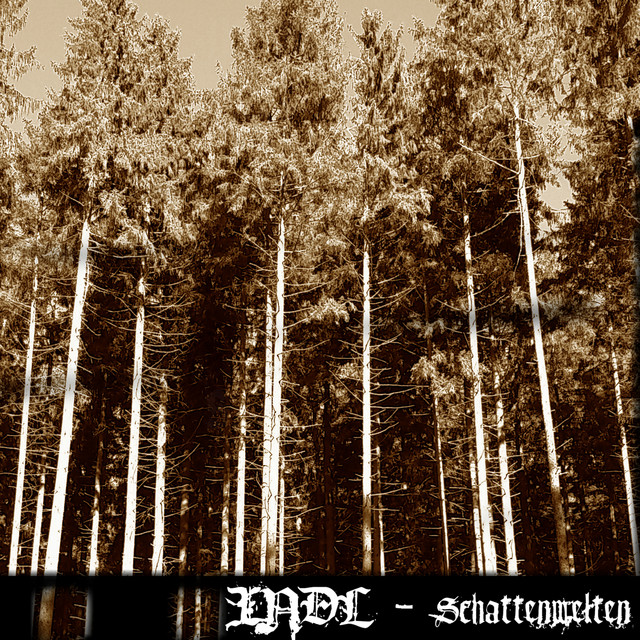 Schattenwelten cover