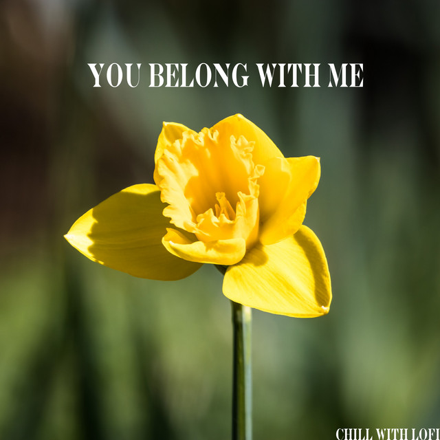 You Belong with Me