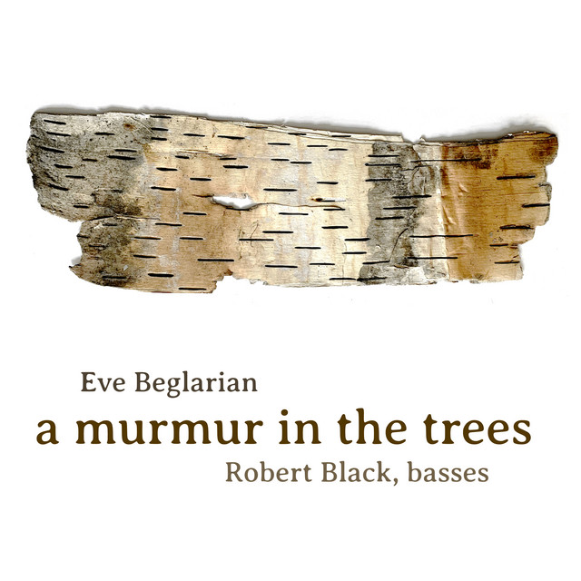 A Murmur in the Trees cover