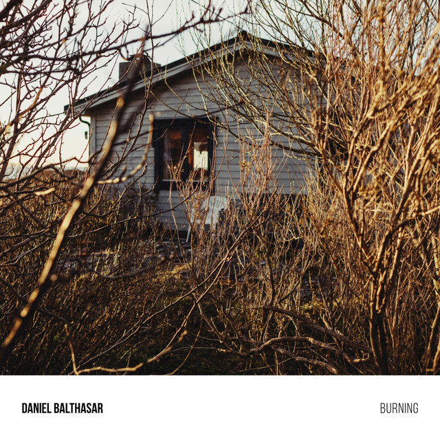 Burning cover art