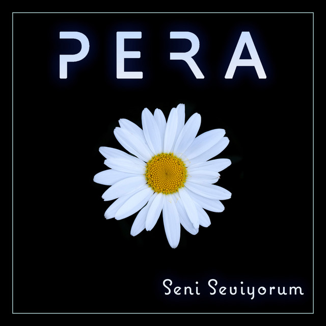 Seni Seviyorum cover art