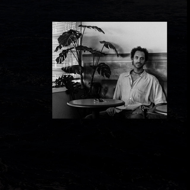 Evening Birds cover art