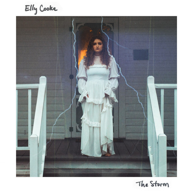 The Storm cover