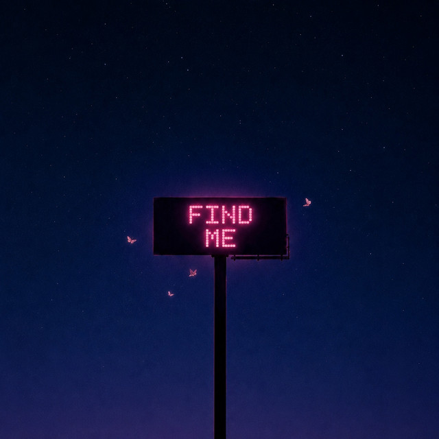 FIND ME artwork