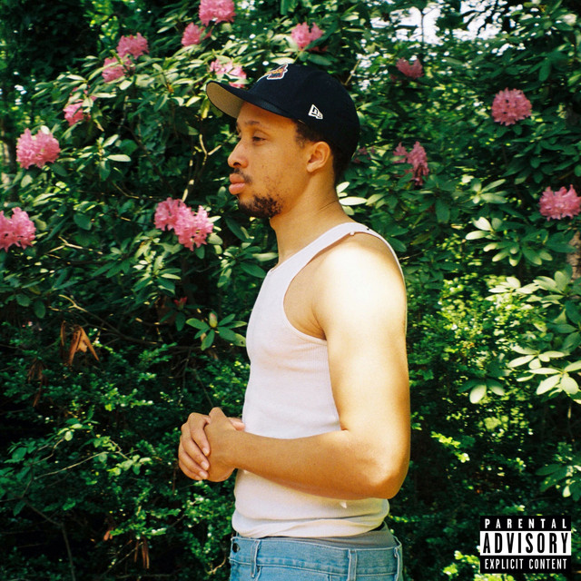 Peaceful Chaos cover art