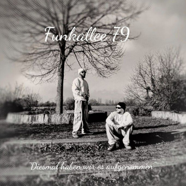 Diesmal haben wir es aufgenommen cover art