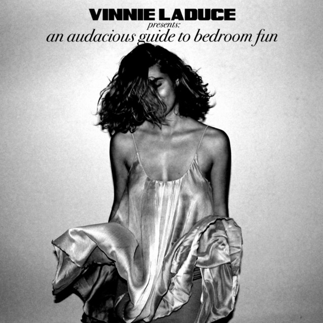An Audacious Guide to Bedroom Fun cover art