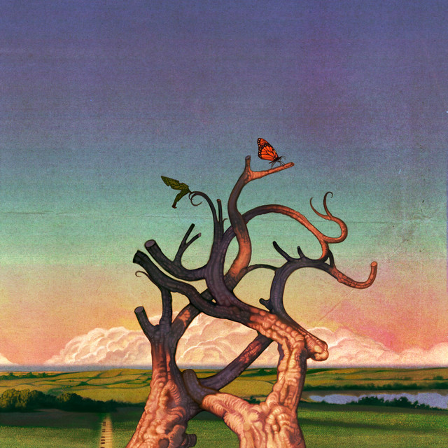 undefined album image