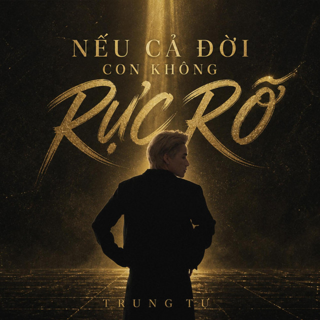 Nếu Cả Đời Con Không Rực Rỡ album image