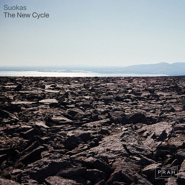 The New Cycle cover art