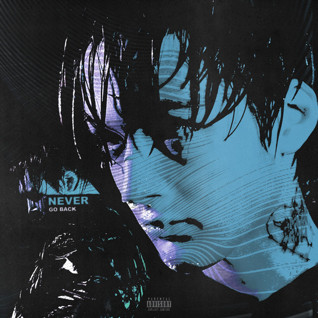 NEVER GO BACK cover art