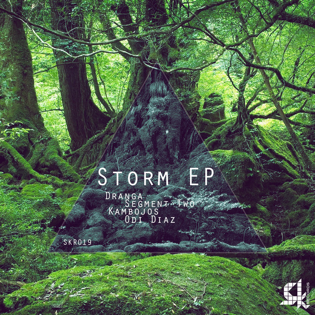 Storm cover art