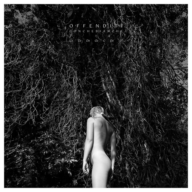 Offenditi cover art