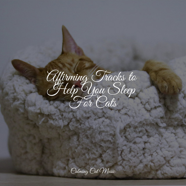 Affirming Tracks to Help You Sleep For Cats - Album by Jazz Music ...
