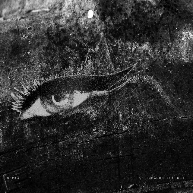 Towards the Sky cover art