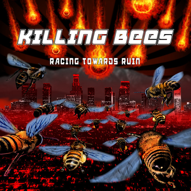 Racing Towards Ruin cover art