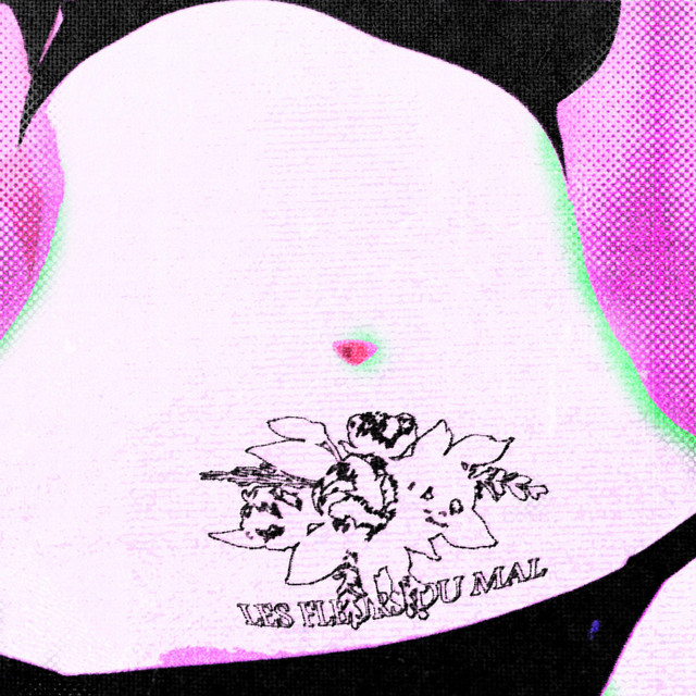 Les Fleurs du mal cover art