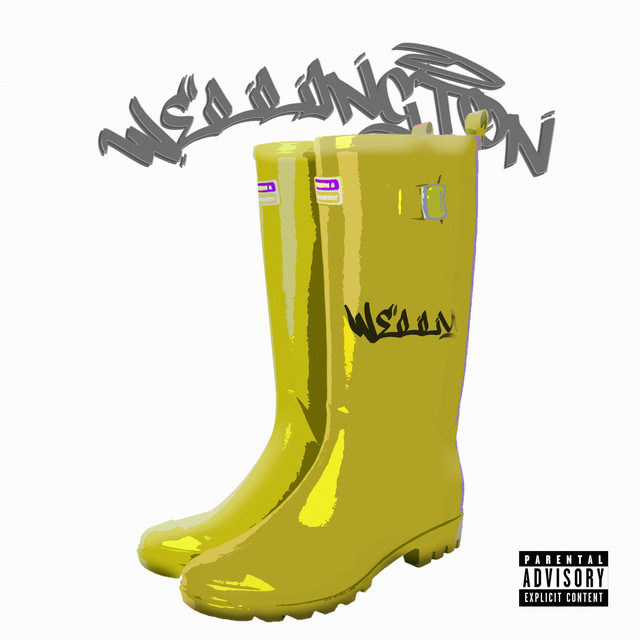 WELLINGTON cover art