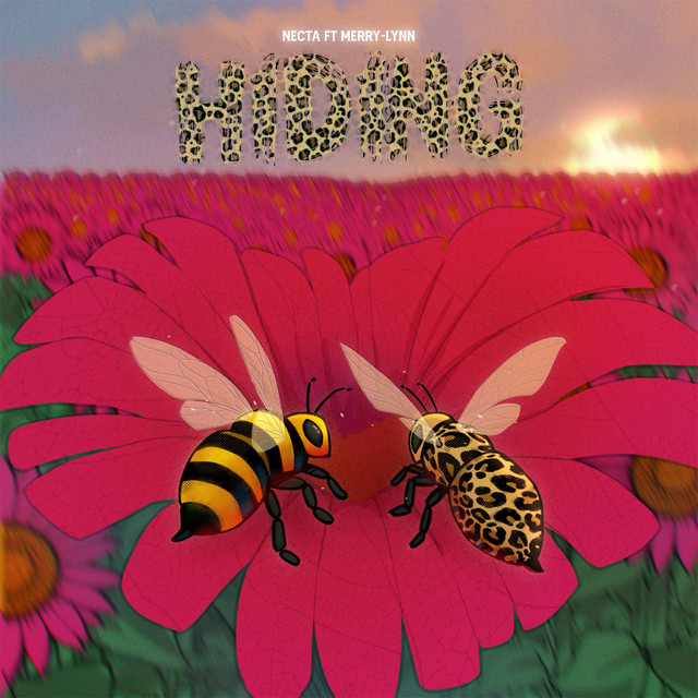Hiding cover art